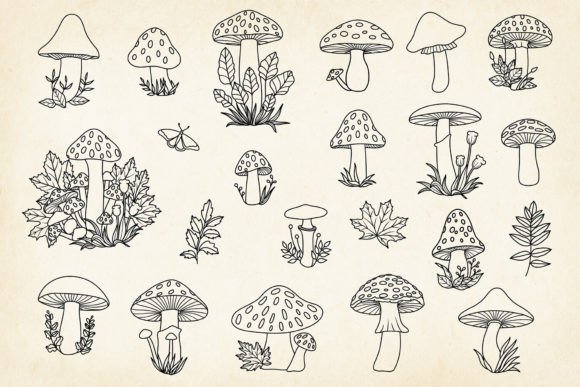 Download Hand-drawn Mushrooms Minimalist Art Set - Set Collection